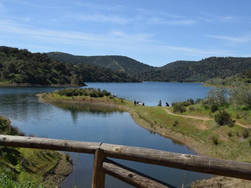 Tejadilla Casita Rural Cerca De Sevilla Con Piscina Экстерьер фото